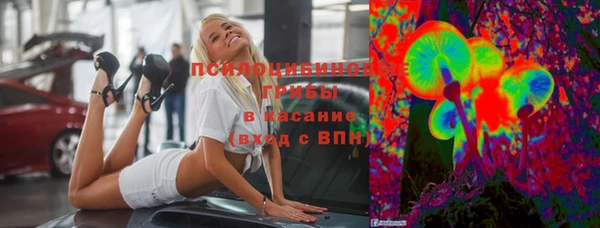 Альфа ПВП Пересвет