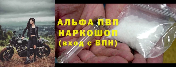 дживик Переславль-Залесский