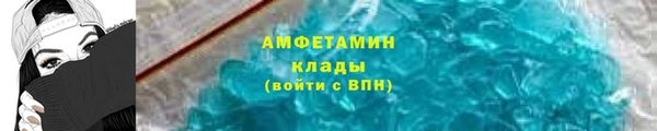 твердый Вяземский