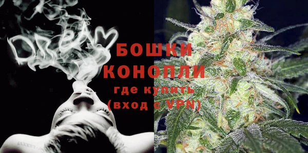 дживик Переславль-Залесский