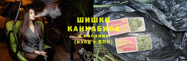 Альфа ПВП Пересвет