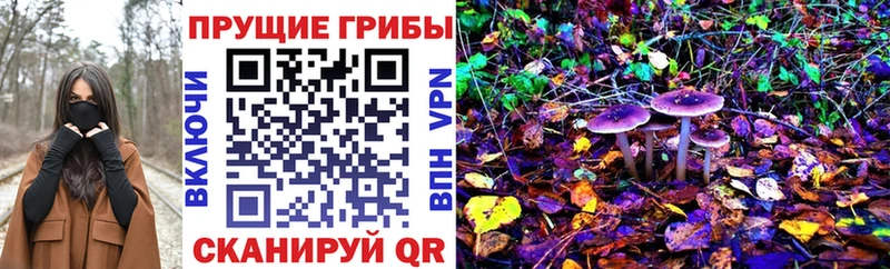 Псилоцибиновые грибы MAGIC MUSHROOMS  даркнет сайт  Удомля 