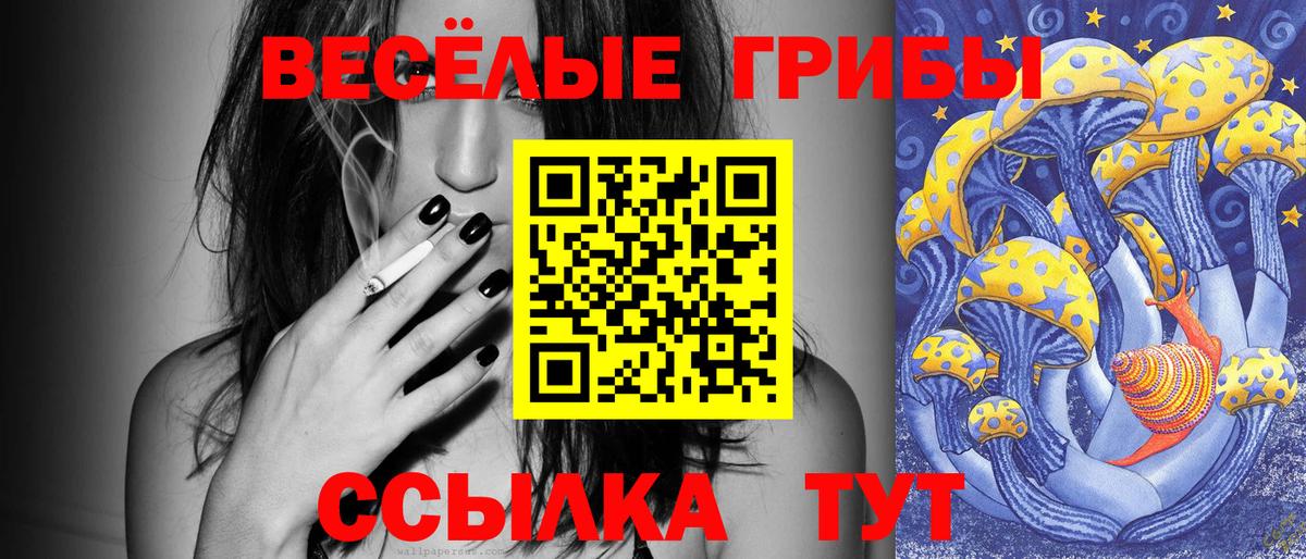 Псилоцибиновые грибы GOLDEN TEACHER  Удомля 