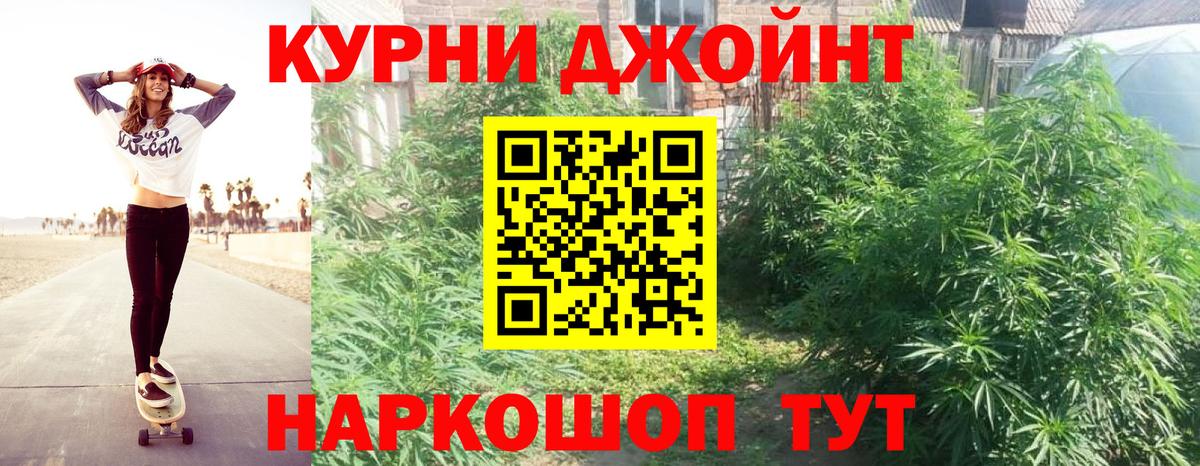 Канабис гибрид Удомля